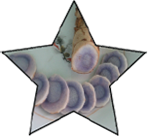 sliderbn